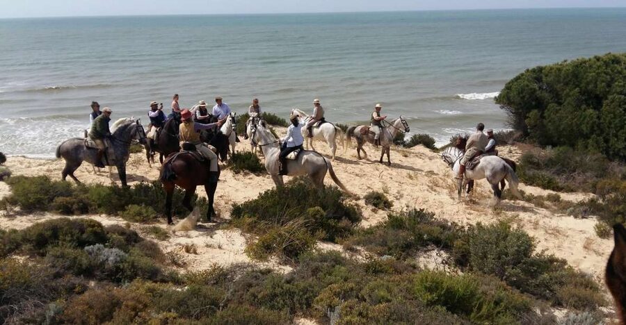 Horse-Riding Tour in Doñana National Park - El Coto and its native pine woods
