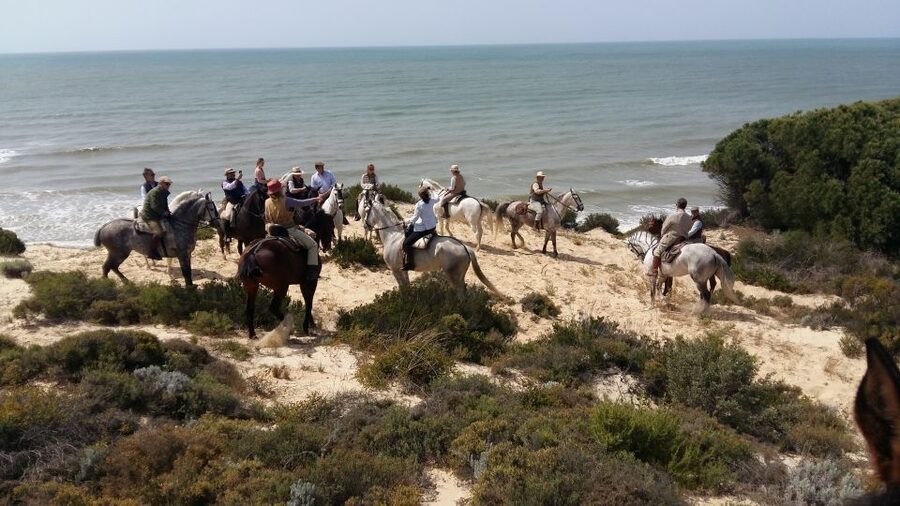 Horse-Riding Tour in Doñana National Park - The open beaches of Doñana