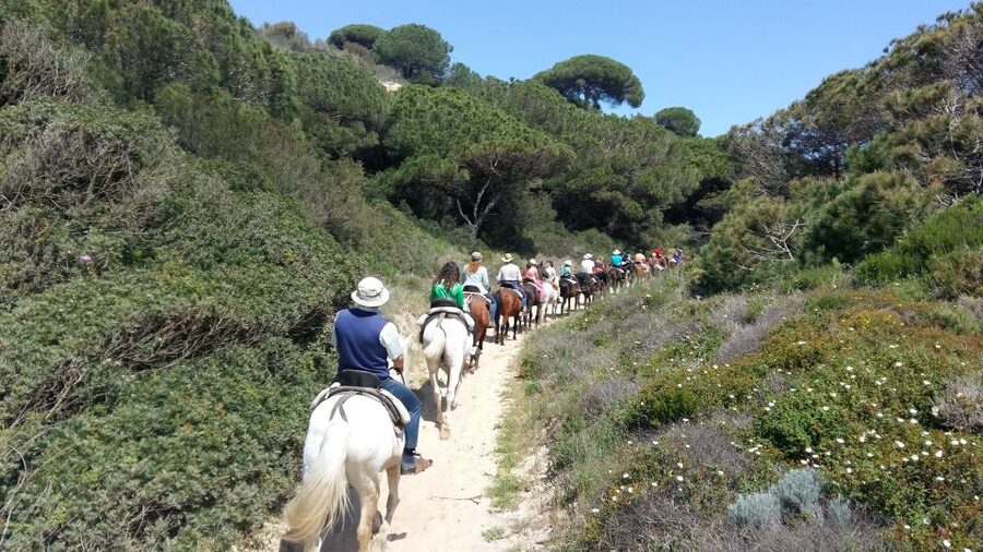 Horse-Riding Tour in Doñana National Park - Spanish guidance and the pace of the outing