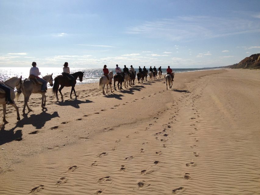 Horse-Riding Tour in Doñana National Park - The dunes and their views toward the sea