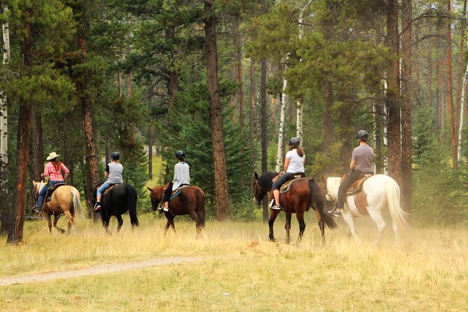 Horse Riding Tour in Marmaris - Safety gear and English-language instruction