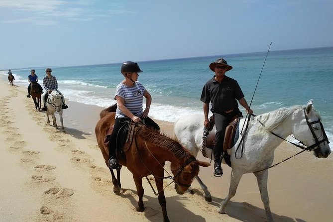 Horse Riding Tour on the Beach Lisbon region - From Lisbon to the Sado Estuary