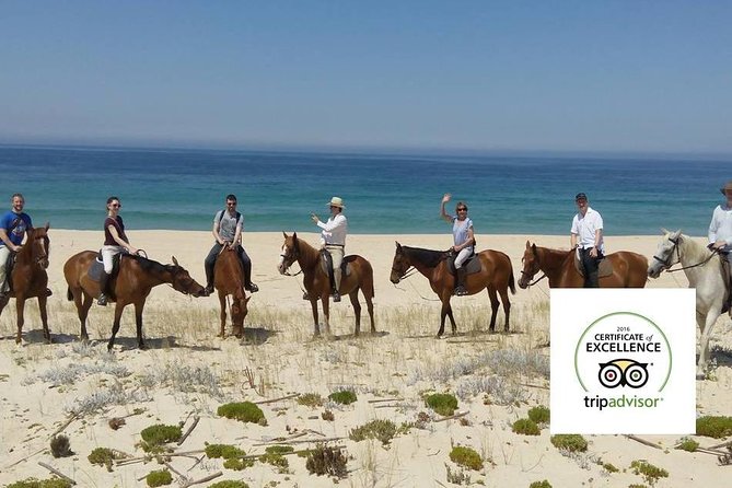 Horse Riding Tour on the Beach Lisbon region - Timing, Traffic, and the Shape of Your Day