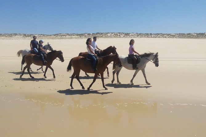 Horse Riding Tour on the Beach Lisbon region - What to Bring and What Not to Expect