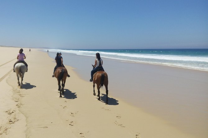 Horse Riding Tour on the Beach Lisbon region - Who Will Enjoy This Most