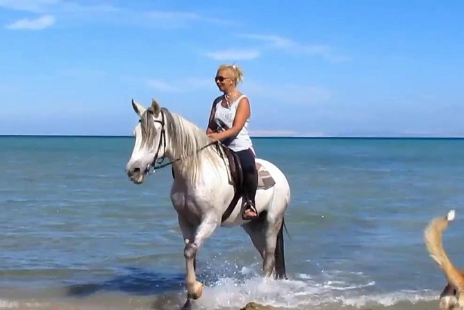 Horse Riding Tour Two Hours Sun & Sea With Transfer - Hurghada - Key points before you book