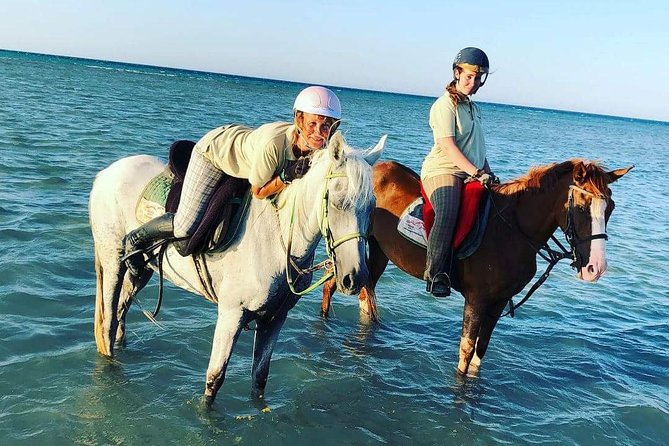 Horse Riding Tour Two Hours Sun & Sea With Transfer - Hurghada - The Red Sea hour: the reason to choose this tour