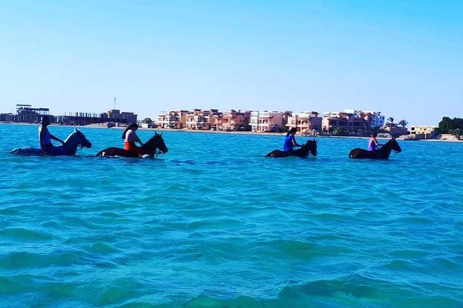 Horse Riding Tour Two Hours Sun & Sea With Transfer - Hurghada - Who will get the most from this ride?