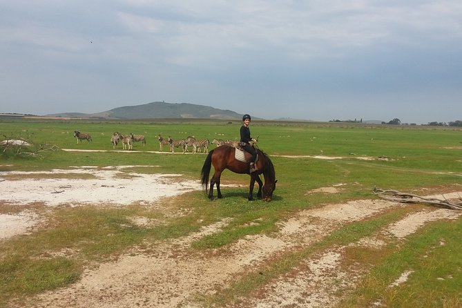 Horse Riding Wildlife Safari - Age, weight, and riding ability rules
