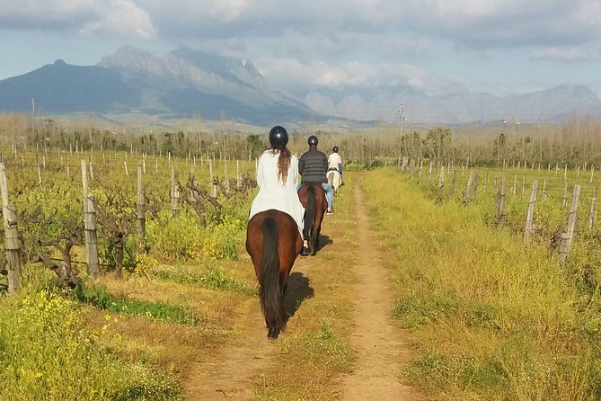 Horse Riding Wildlife Safari - Starting at Pete’s in Koelenhof