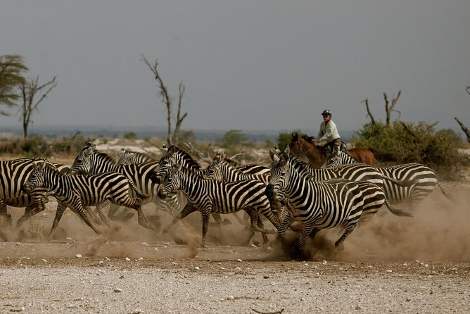 Horse safaris in Tanzania - Key points to know before you book