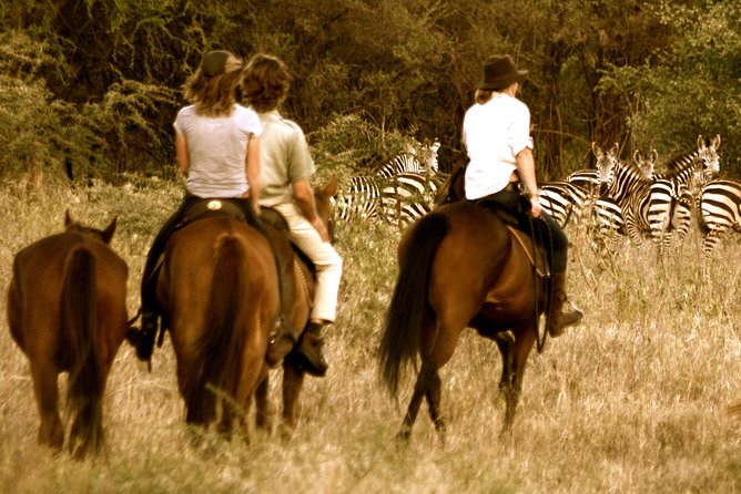 Horse safaris in Tanzania - Getting comfortable with the horses and equipment
