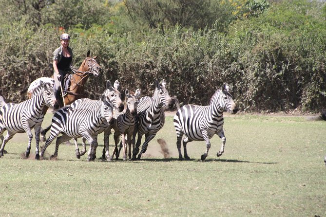 Horse safaris in Tanzania - The gentle route through the estate