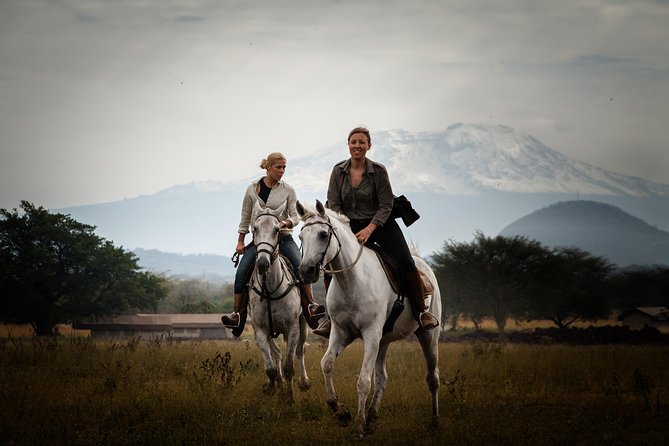 Horse safaris in Tanzania - The faster option for confident riders