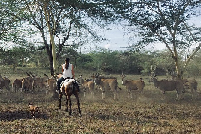 Horse safaris in Tanzania - Is $120 a fair price?