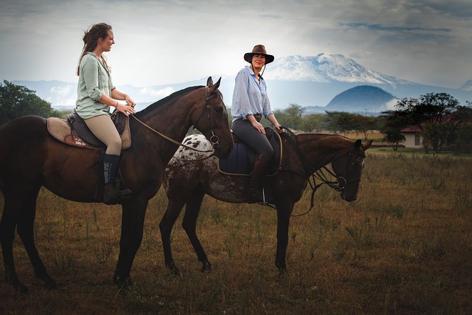 Horse safaris in Tanzania - Arriving at Dolly Wildlife Estate from Arusha