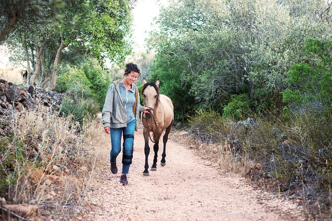 Horse Sanctuary: A nature walk with Rescued Horses by your side - Meeting rescued horses near Barão de São João