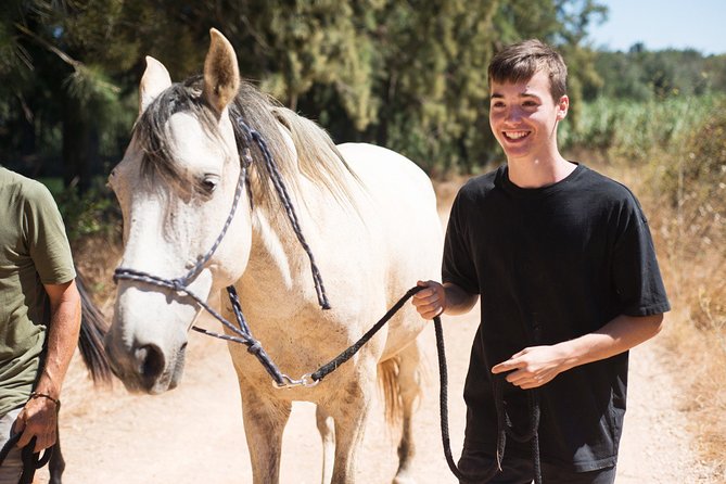 Horse Sanctuary: A nature walk with Rescued Horses by your side - Watching herd behavior and learning each horse’s story