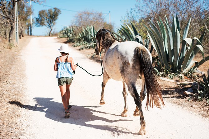 Horse Sanctuary: A nature walk with Rescued Horses by your side - Timing, transport, and weather details