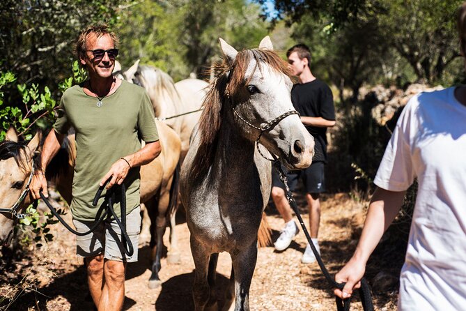 Horse Sanctuary: A nature walk with Rescued Horses by your side - Brushing, bonding, and choosing a horse