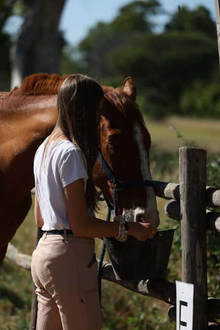 Horse Sanctuary in Rome - Should you book this horse sanctuary experience?