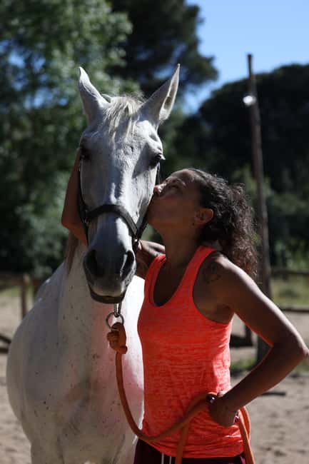 Horse Sanctuary in Rome - Starting with coffee, grooming, and rescued horses