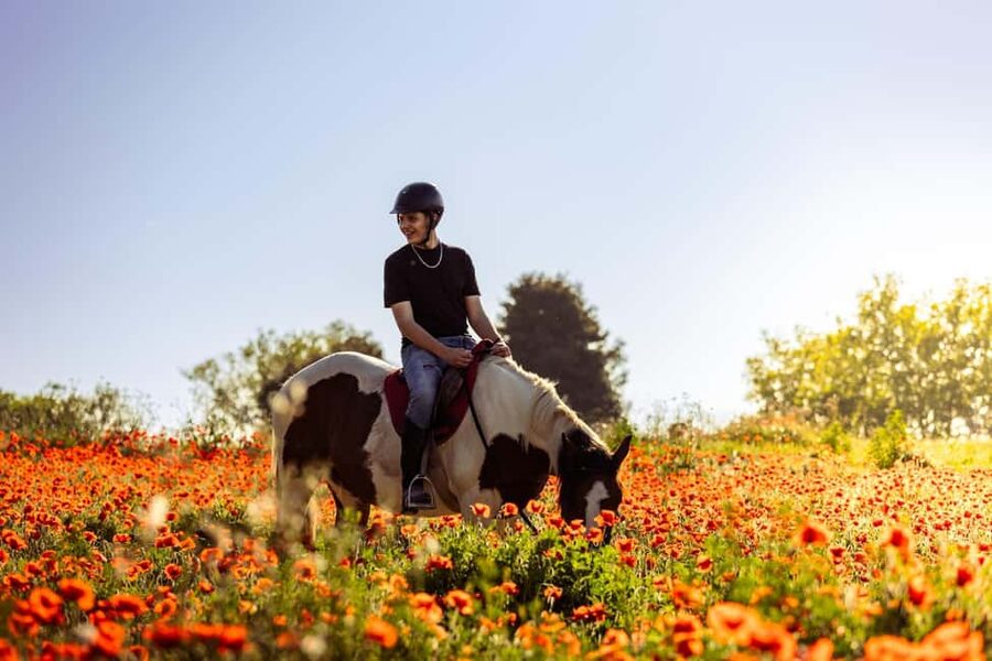 Horse Sanctuary in Rome - Riding through the pinewood near Ancient Ostia