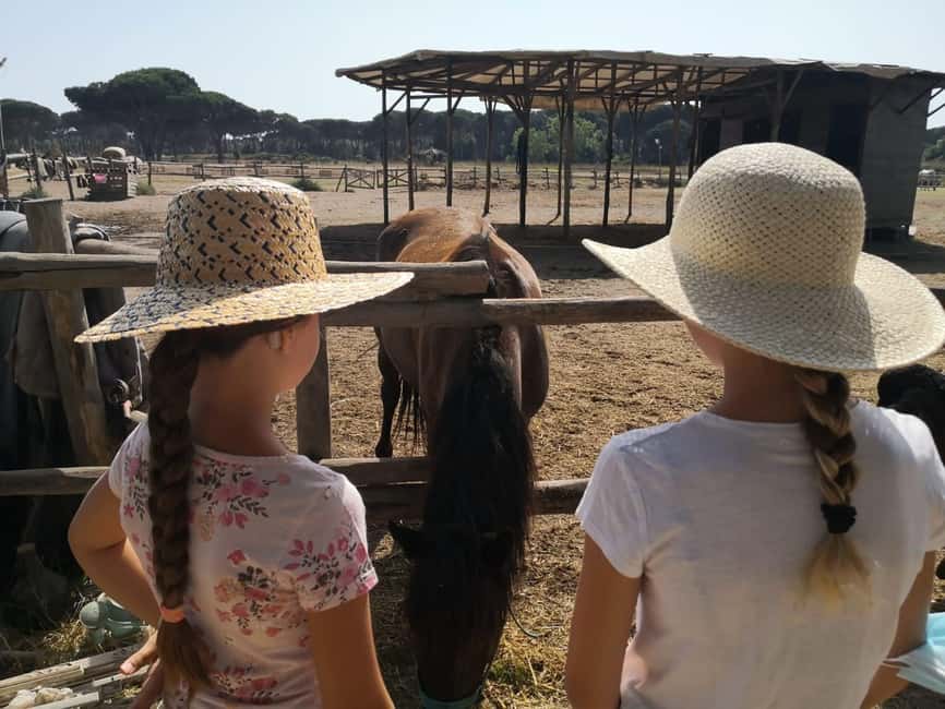 Horse Sanctuary in Rome - What the three-hour schedule really gives you