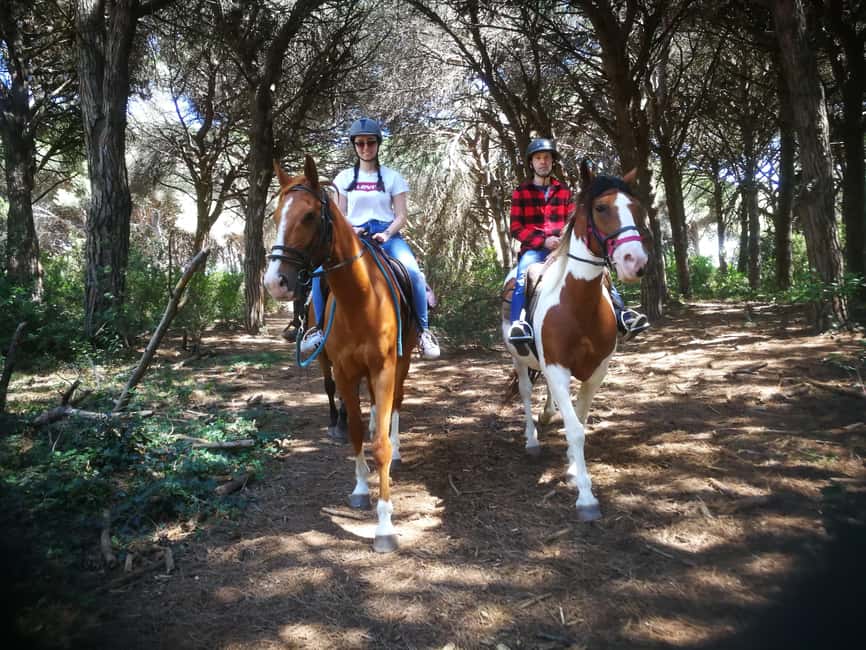 Horse Sanctuary in Rome - The value of $106 per person