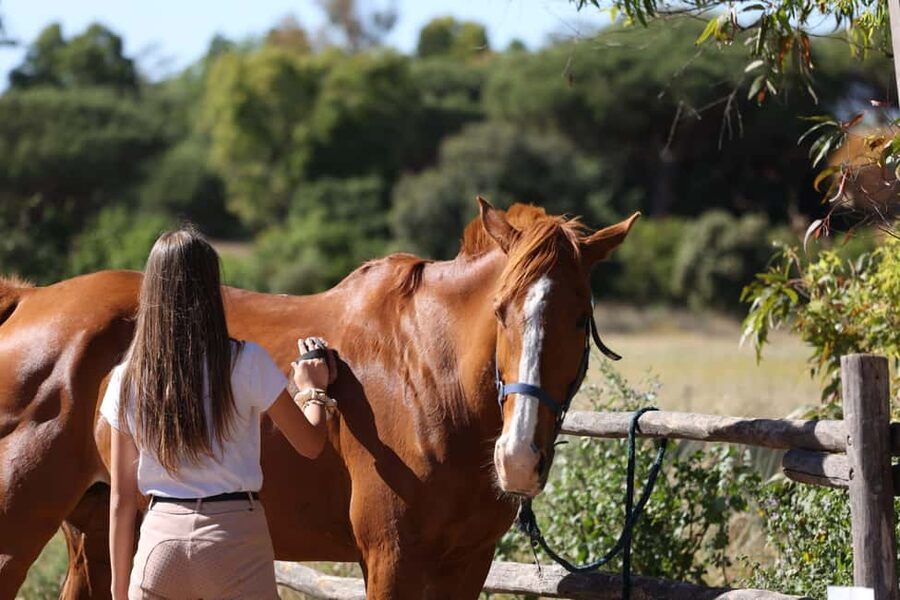 Horse Sanctuary in Rome - Who will enjoy this ride most