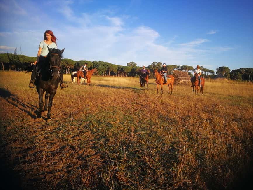 Horse Sanctuary in Rome - Small details that make the day better