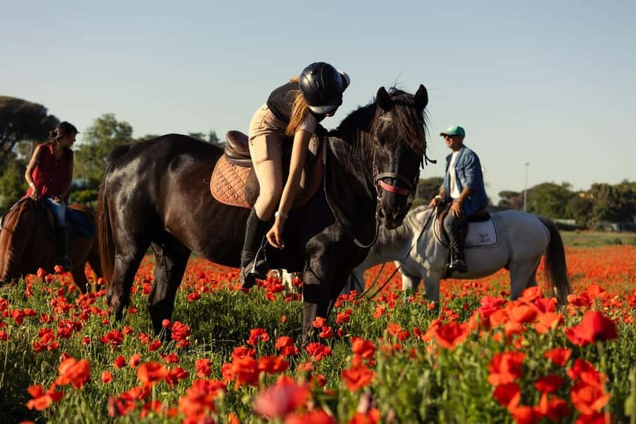 Horse Sanctuary in Rome - A short lesson before the ride