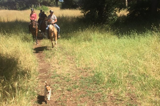 Horse Sanctuary & Trail Ride in Ostia Antica - A horse experience beyond the usual trail ride