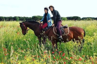 Horse Sanctuary & Trail Ride in Ostia Antica