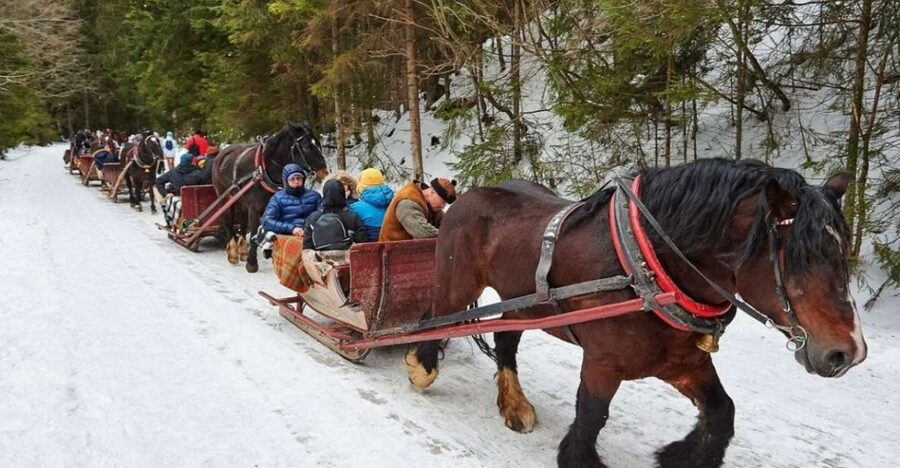 Horse Sleigh 2-3h Ride with Hot Springs or Zakopane Combos - Why this Zakopane day works so well