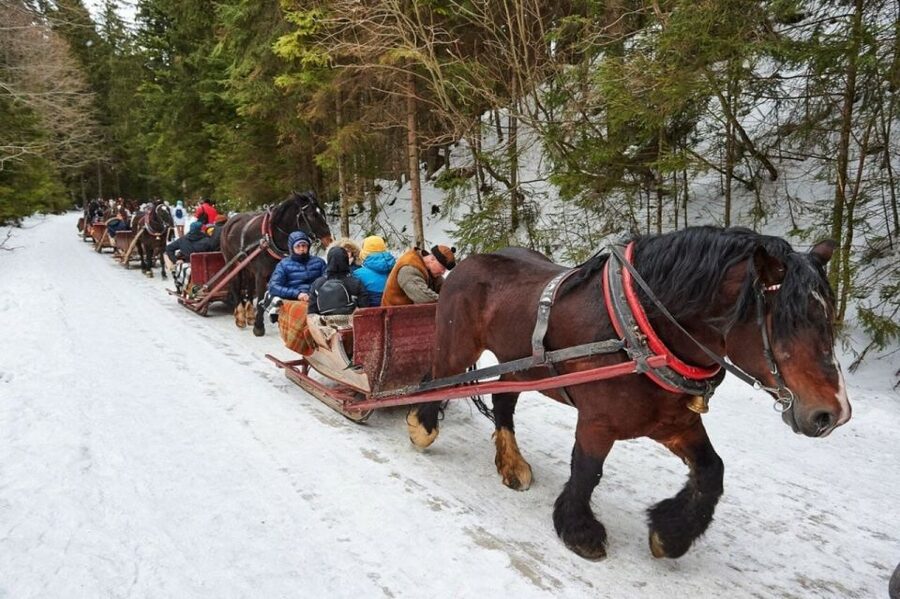 Horse Sleigh 2-3h Ride with Hot Springs or Zakopane Combos - Gubalowka Mountain by funicular