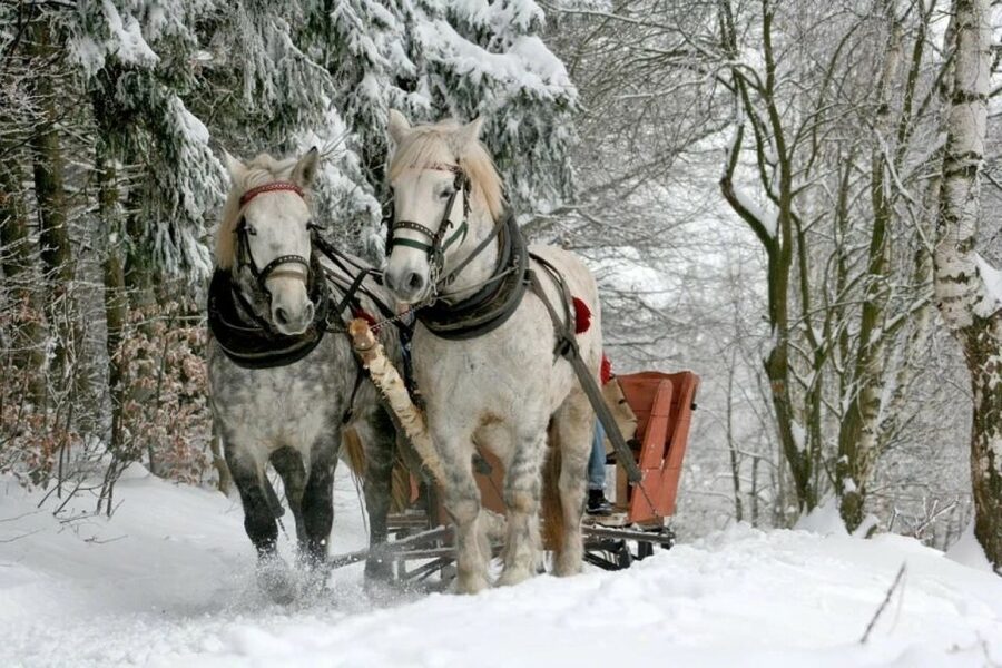 Horse Sleigh 2-3h Ride with Hot Springs or Zakopane Combos - A warm finish at Chocholowska Baths