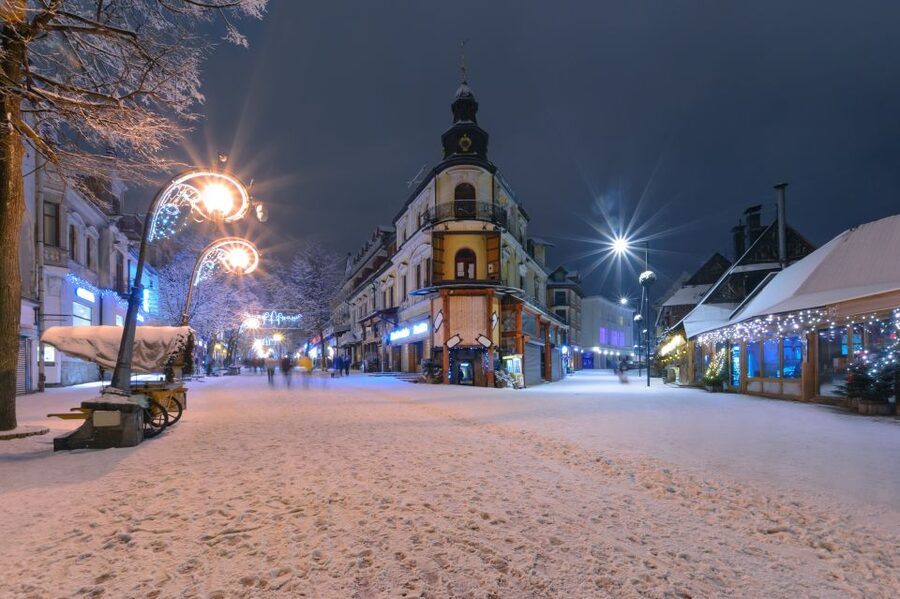Horse Sleigh 2-3h Ride with Hot Springs or Zakopane Combos - Who should book this experience