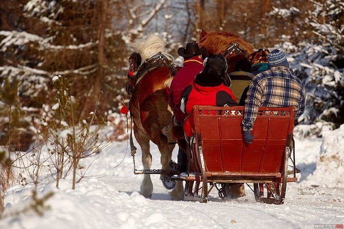 Horse Sleigh Ride in the Polish Countryside, private tour from Krakow - Trading the minivan for a horse-drawn sleigh