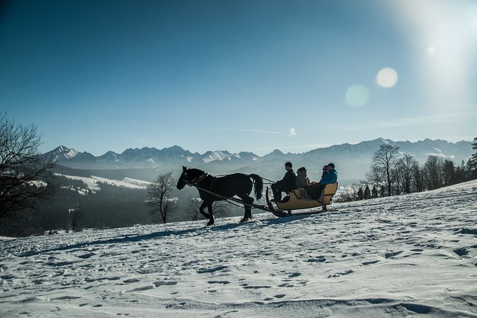 Horse Sleigh Ride in the Polish Countryside, private tour from Krakow - What to bring and what to confirm