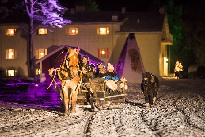 Horse Sleigh Ride Under The Night Sky in Apukka Resort, Rovaniemi - The Northern Lights possibility