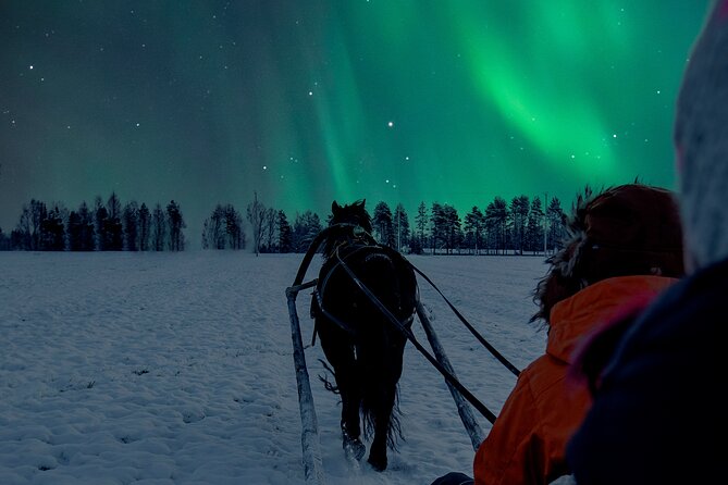 Horse Sleigh Ride Under The Night Sky in Apukka Resort, Rovaniemi - Cold-weather comfort and what to expect