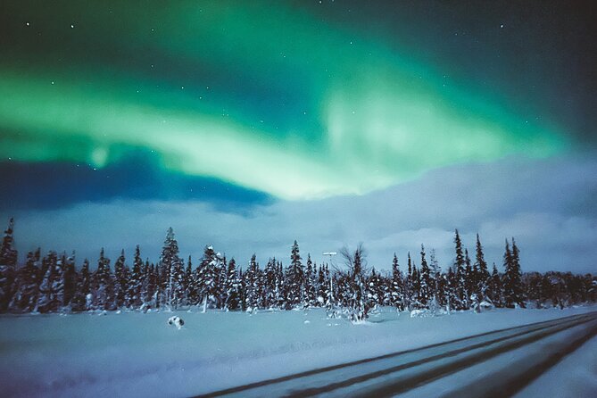 Horse Sleigh Ride Under The Night Sky in Apukka Resort, Rovaniemi - What the three-hour schedule means for you