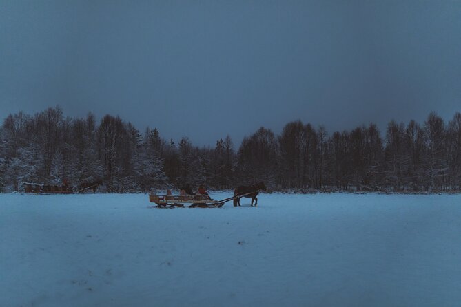 Horse Sleigh Ride Under The Night Sky in Apukka Resort, Rovaniemi - Is $184.06 a fair price?
