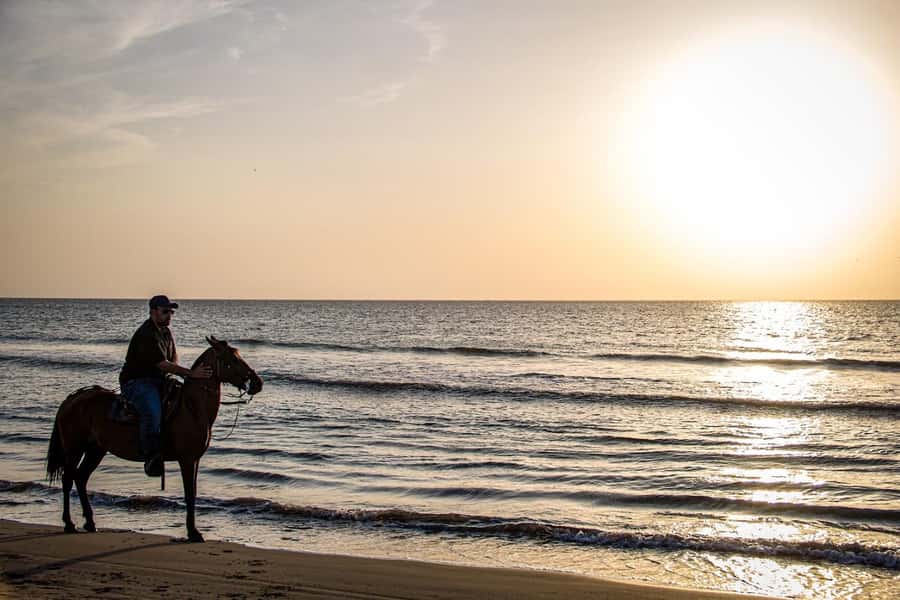 HORSE TOUR IN CARTAGENA BEACH - A beach ride north of Cartagena