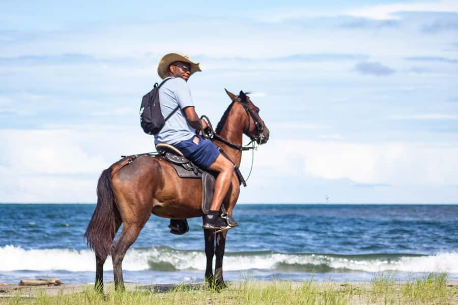 HORSE TOUR IN CARTAGENA BEACH - One hour along the beach
