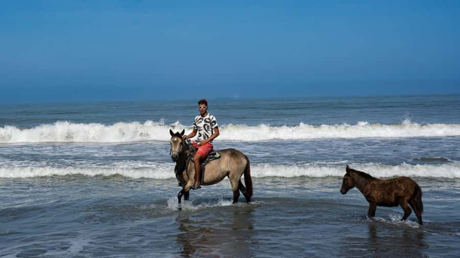 HORSE TOUR IN CARTAGENA BEACH - A peaceful break and a drink afterward