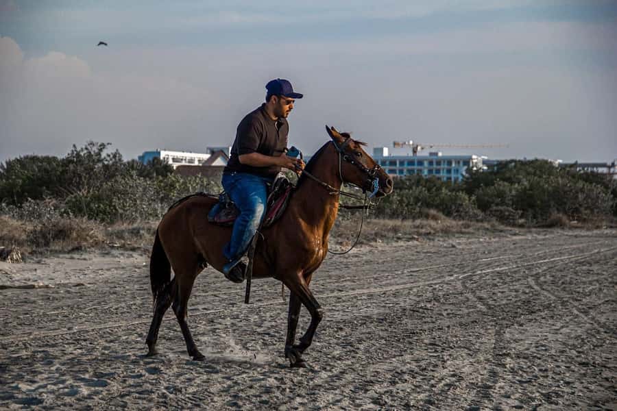 HORSE TOUR IN CARTAGENA BEACH - Who will enjoy this most