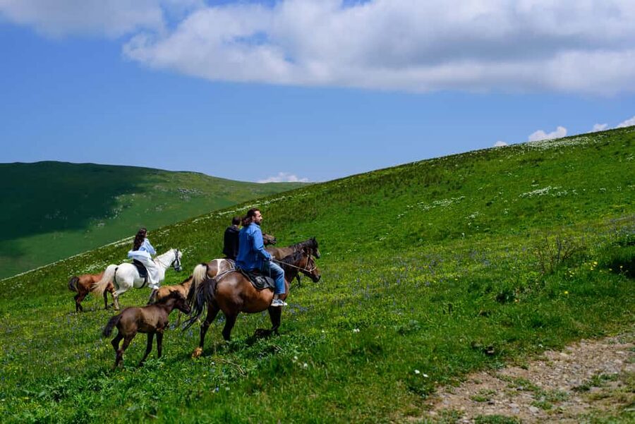 Horseback Adventure in Armenia’s Highland Pastures - Choosing the Right Route for Your Riding Level