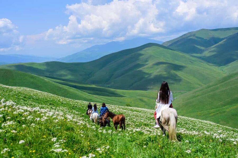 Horseback Adventure in Armenia’s Highland Pastures - What the Strong Feedback Tells You